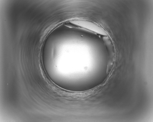 X0000066020001200603171544