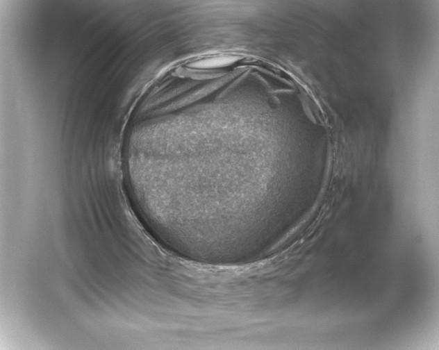 X0000066020002200603171544