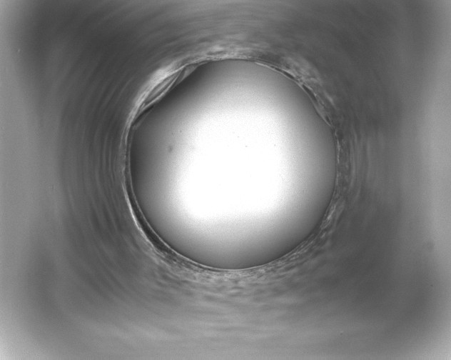 X0000066020003200603171544