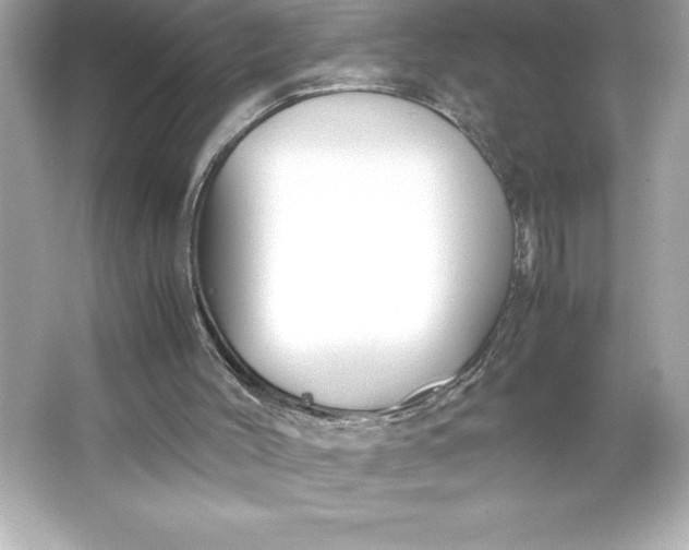 X0000066020004200603171544