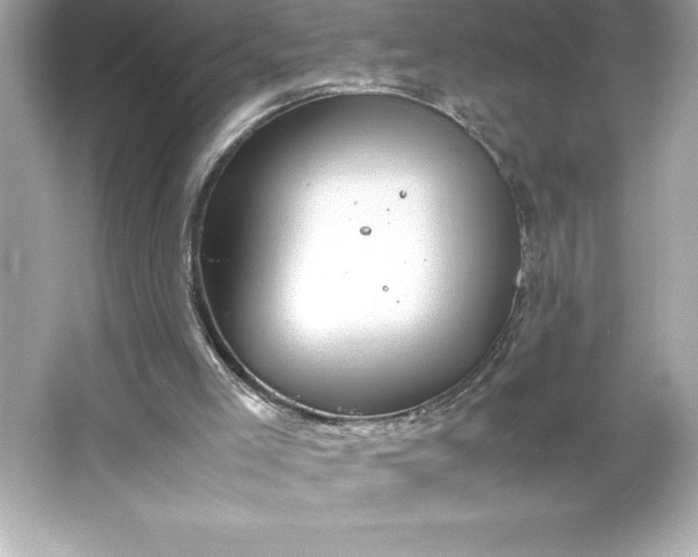 X0000066020005200603171544