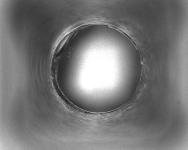 X0000066020007200603171544