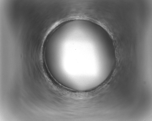 X0000066020008200603171544