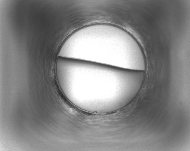 X0000066020009200603171544