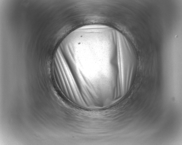 X0000066020010200603171544