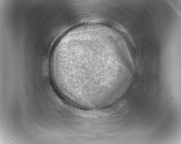 X0000066020012200603171544