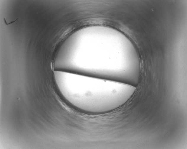 X0000066020013200603171544