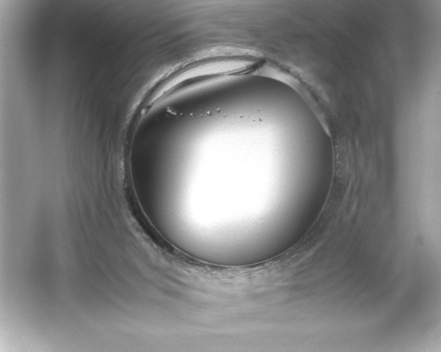 X0000066020015200603171544