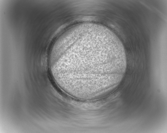 X0000066020016200603171544