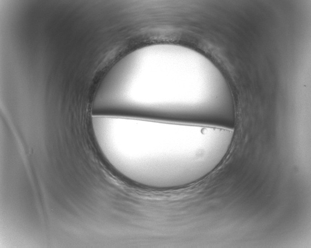 X0000066020017200603171543