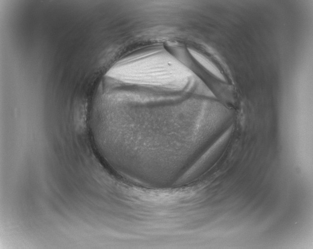 X0000066020018200603171543