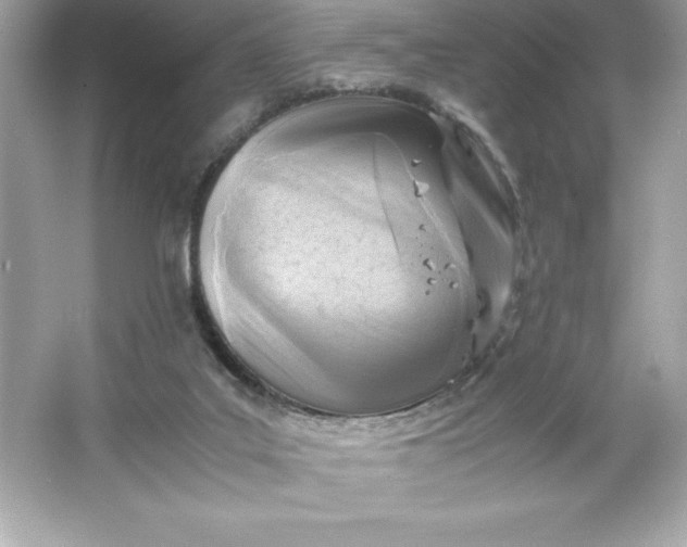 X0000066020019200603171543