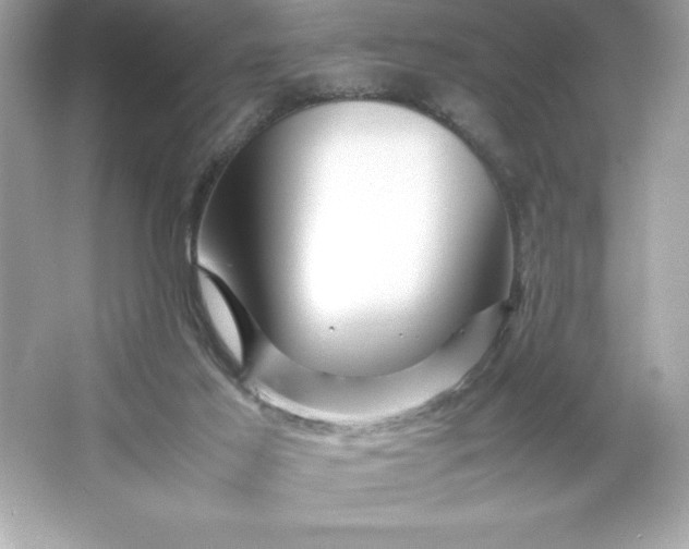 X0000066020021200603171543