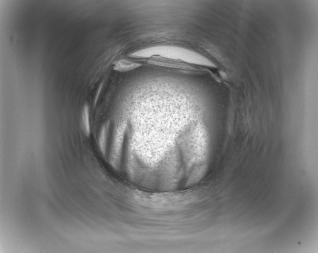 X0000066020022200603171543