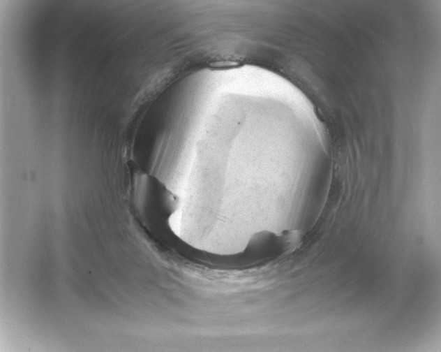 X0000066020023200603171543