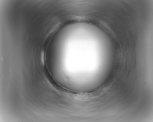 X0000066020024200603171543