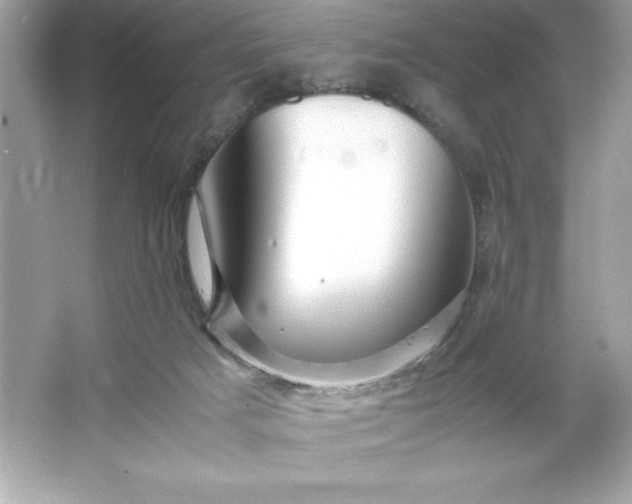 X0000066020025200603171543