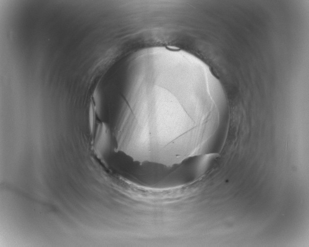 X0000066020027200603171543