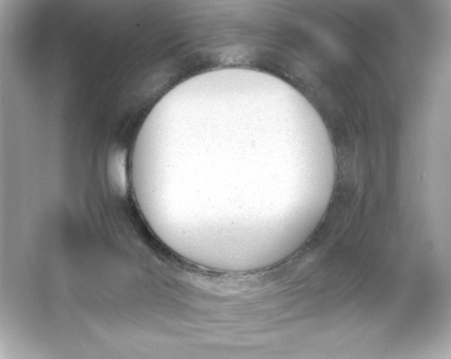 X0000066020028200603171543