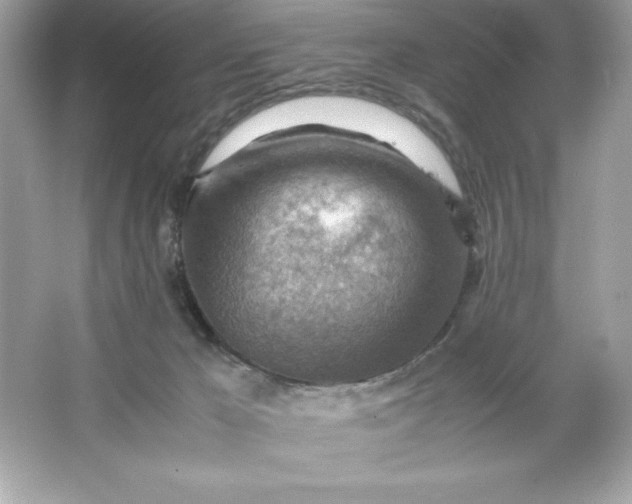 X0000066020029200603171543