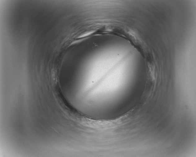 X0000066020031200603171543