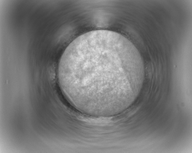 X0000066020032200603171543