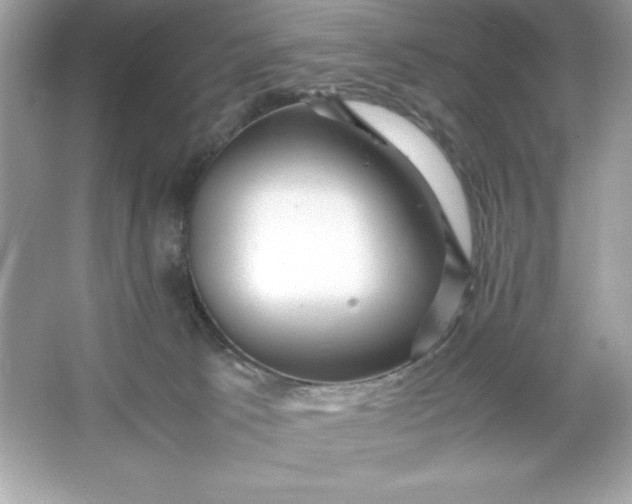 X0000066020033200603171543