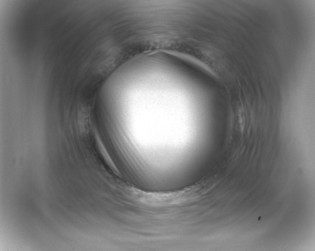 X0000066020034200603171543