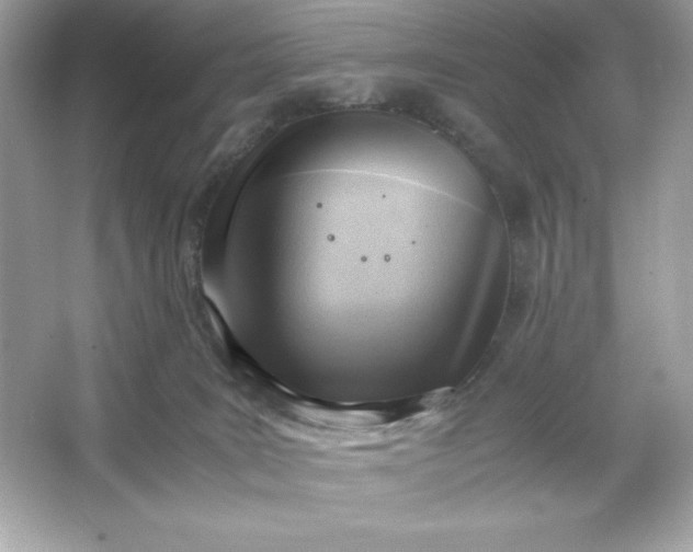 X0000066020035200603171543