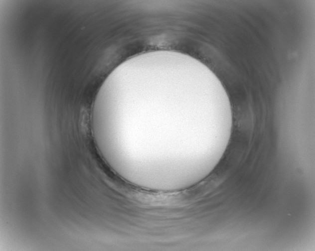 X0000066020036200603171543