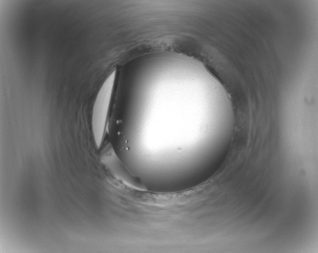 X0000066020037200603171543