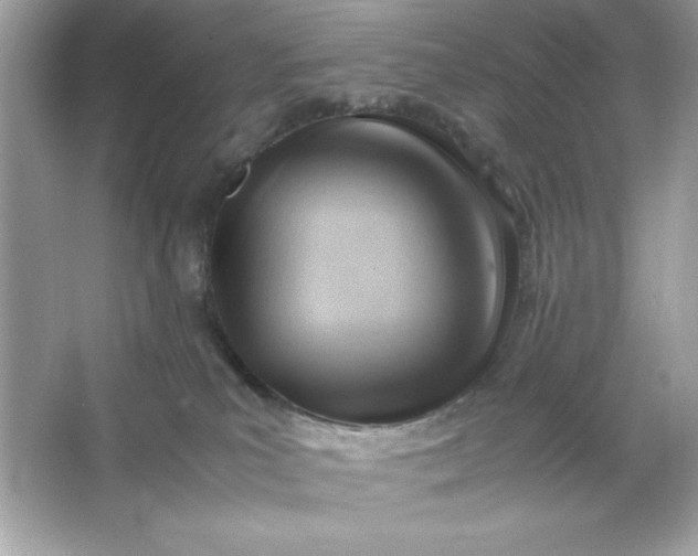 X0000066020039200603171543