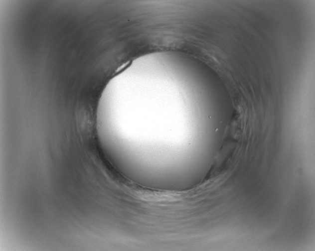 X0000066020040200603171543