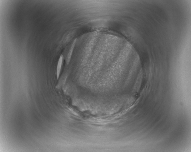 X0000066020041200603171543