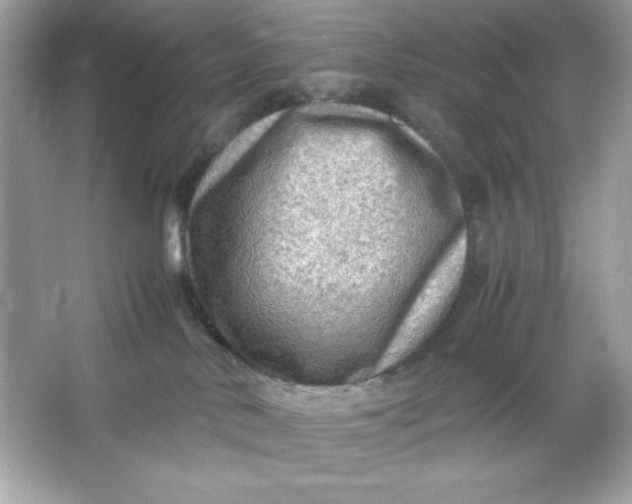 X0000066020042200603171543