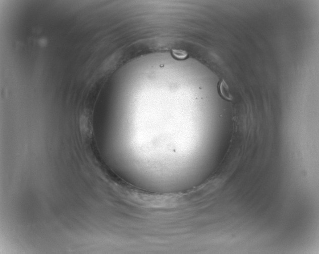 X0000066020044200603171543