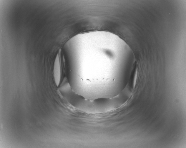 X0000066020045200603171543