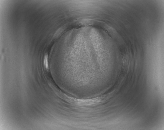 X0000066020046200603171543