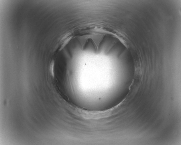 X0000066020047200603171543