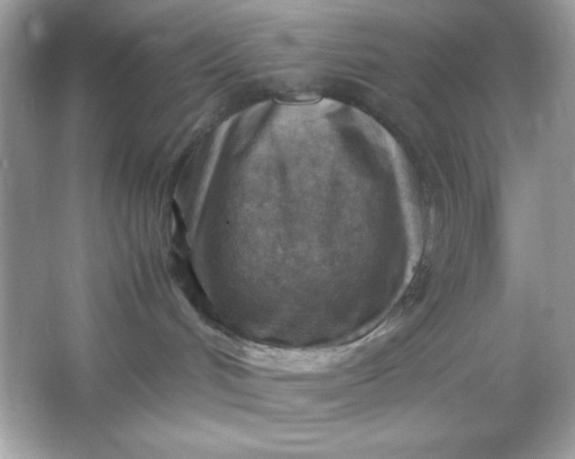 X0000066020048200603171543