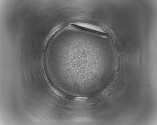 X0000066020051200603171542