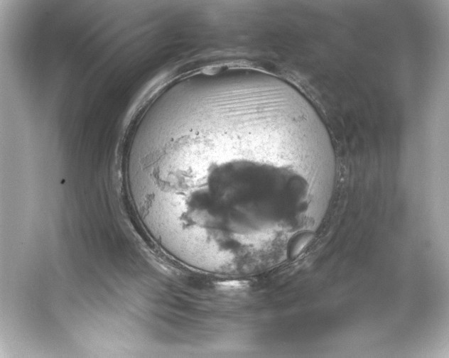 X0000066020053200603171542