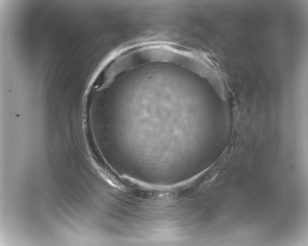 X0000066020056200603171542