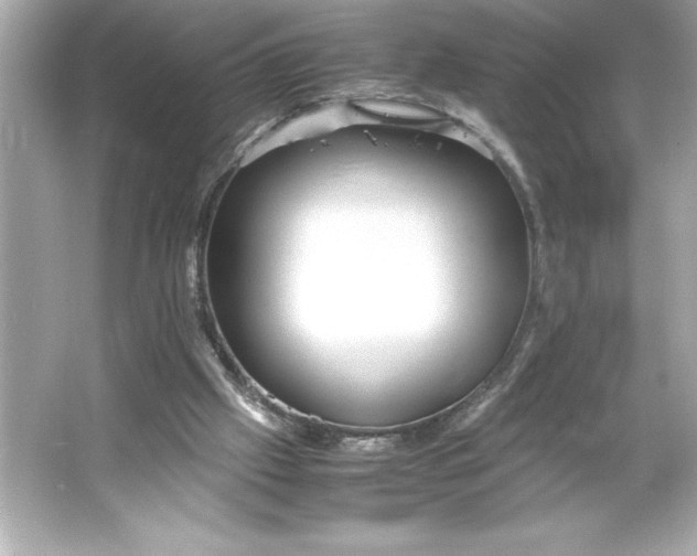 X0000066020057200603171542