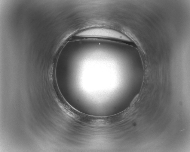 X0000066020058200603171542