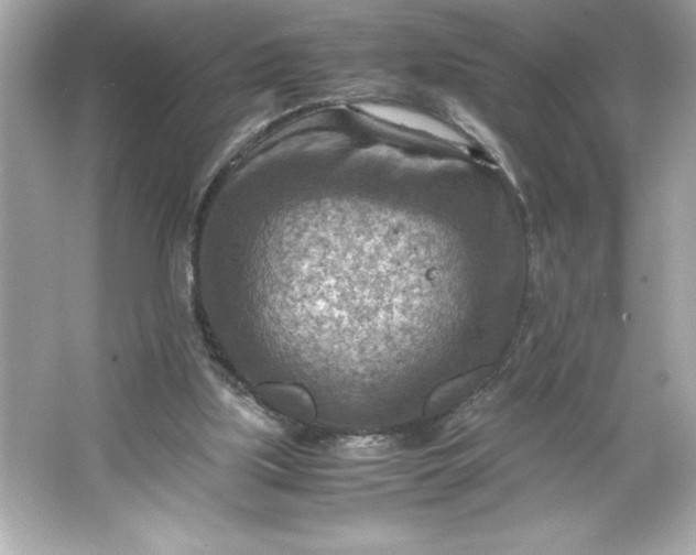 X0000066020059200603171542