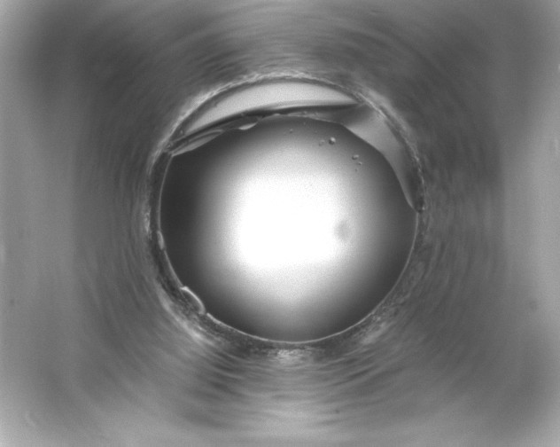 X0000066020060200603171542