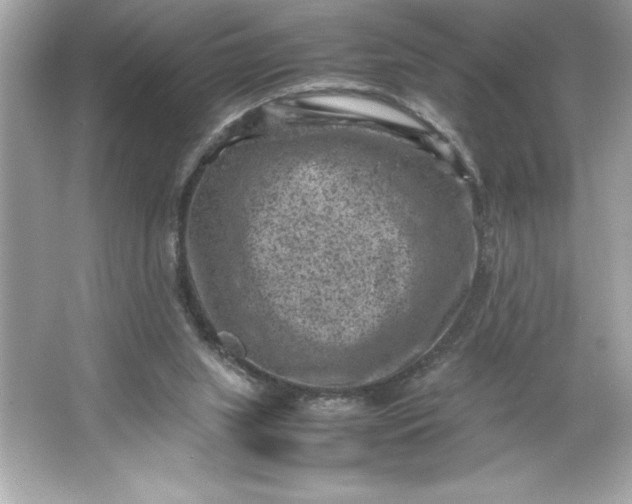 X0000066020063200603171542