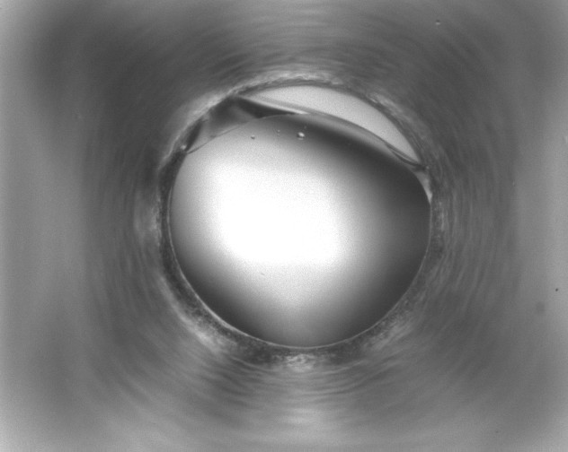 X0000066020064200603171542