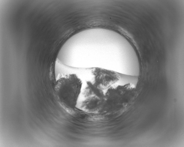 X0000066020065200603171542